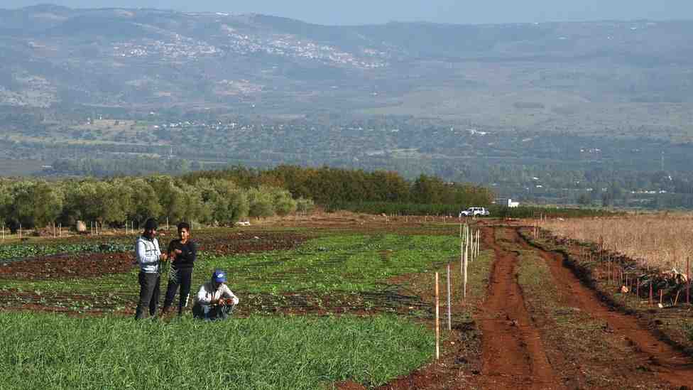 أخبار إنمائية