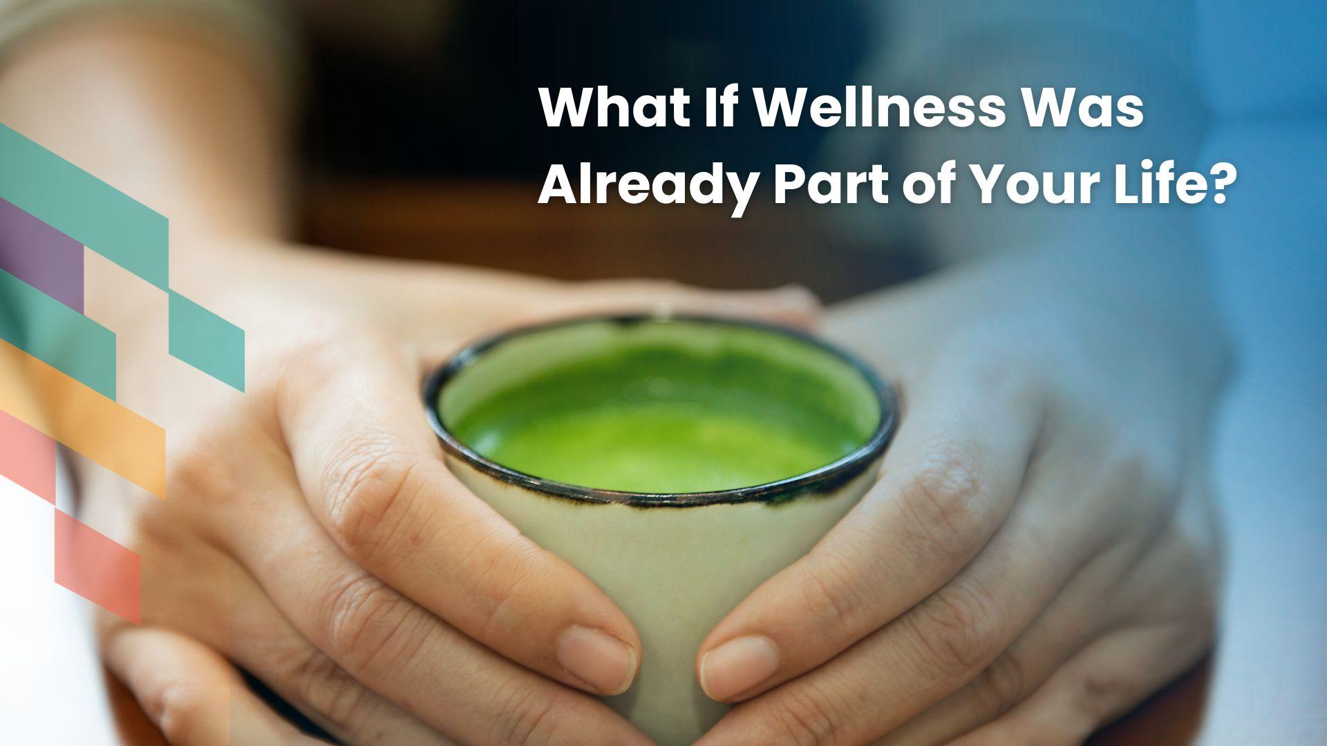 /studio/programs/69df811e3ac211857ef4dceb