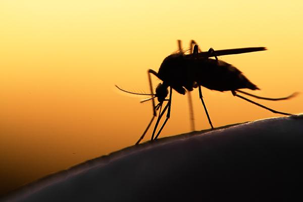 أخبار إنمائية أخبار إنمائية