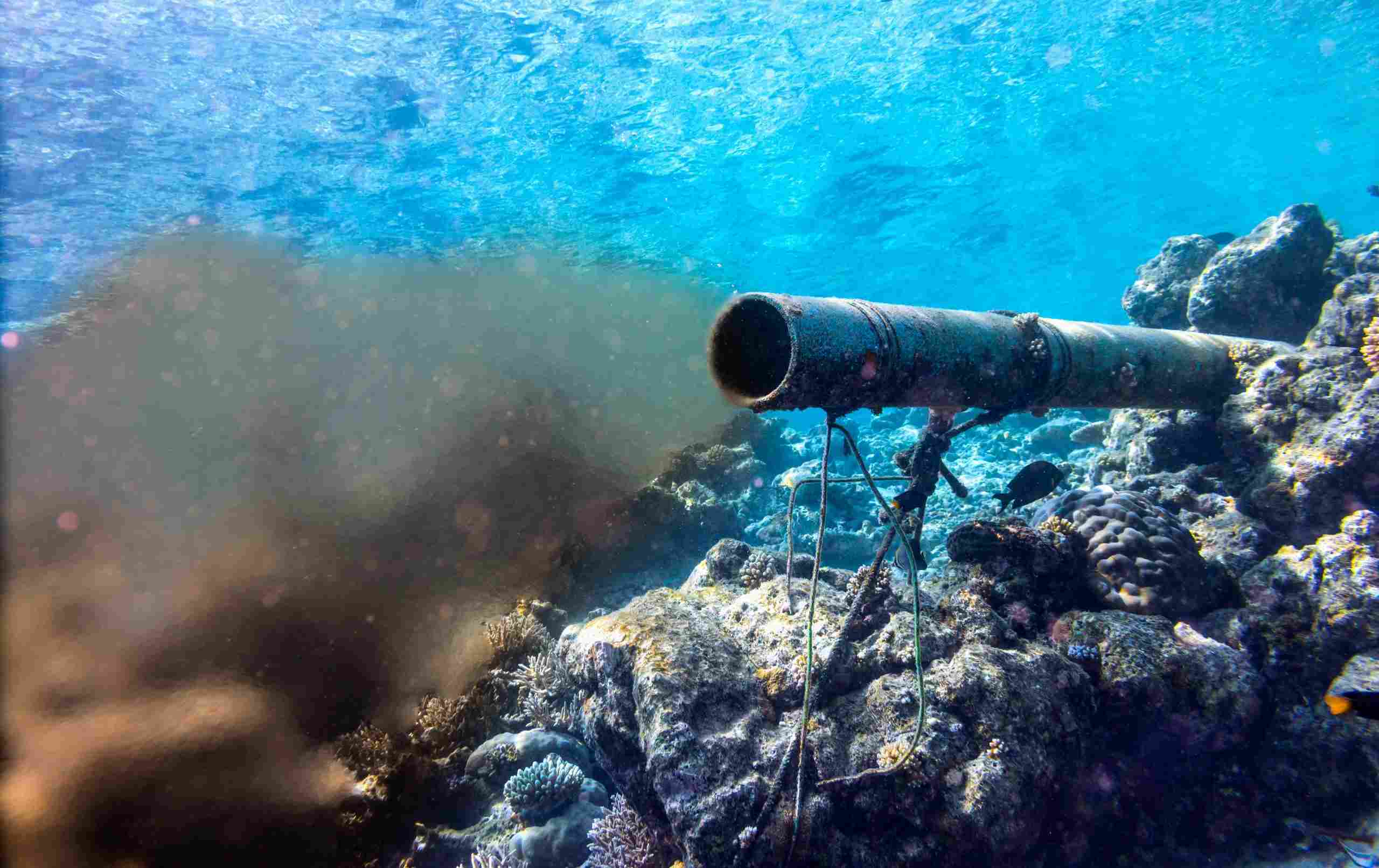 أخبار إنمائية