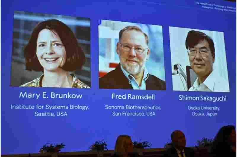 Sakaguchi identified a special class of immune cells called regulatory T cells.