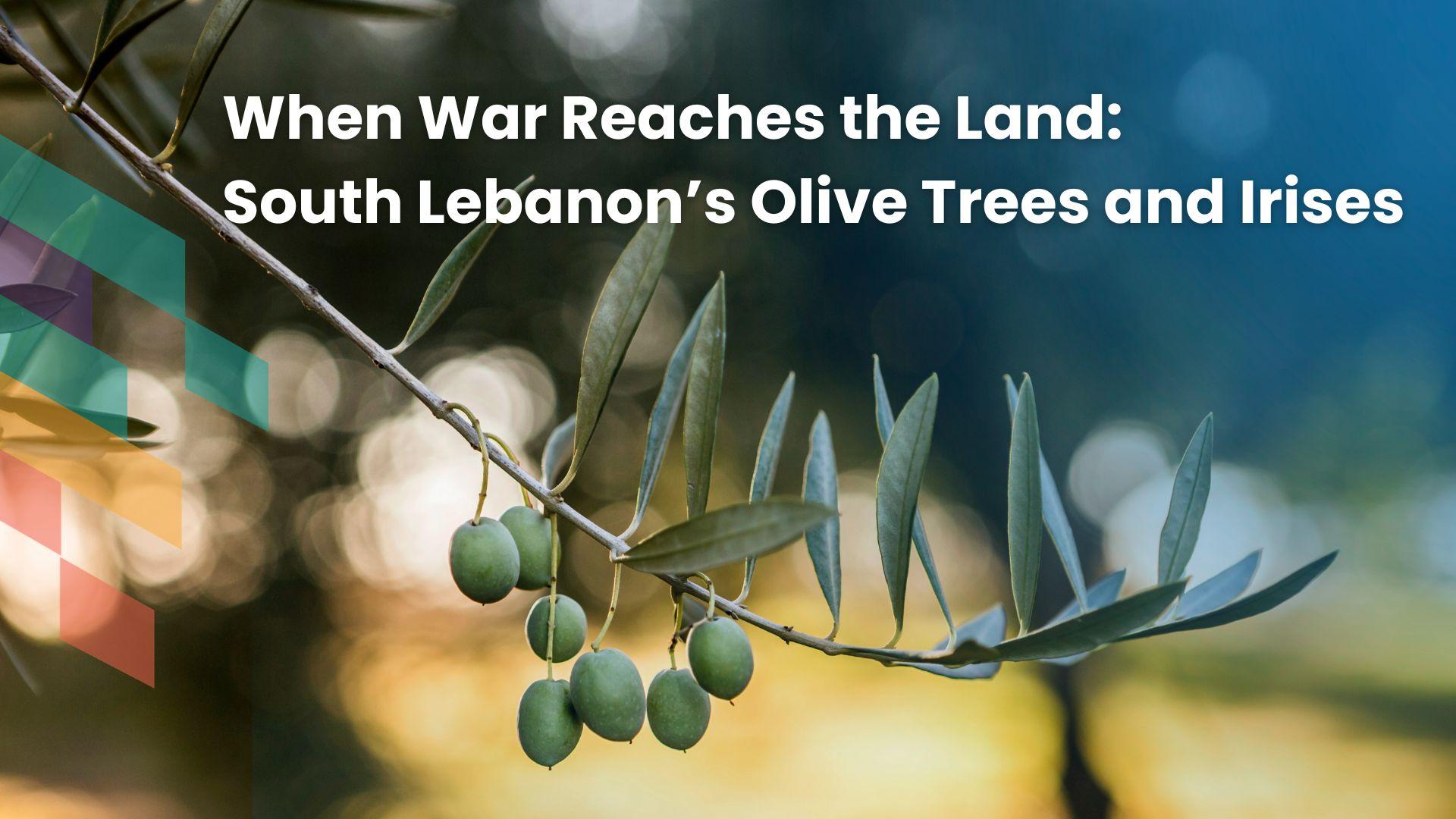 /studio/programs/69e8b5e63ac211857e0e9591