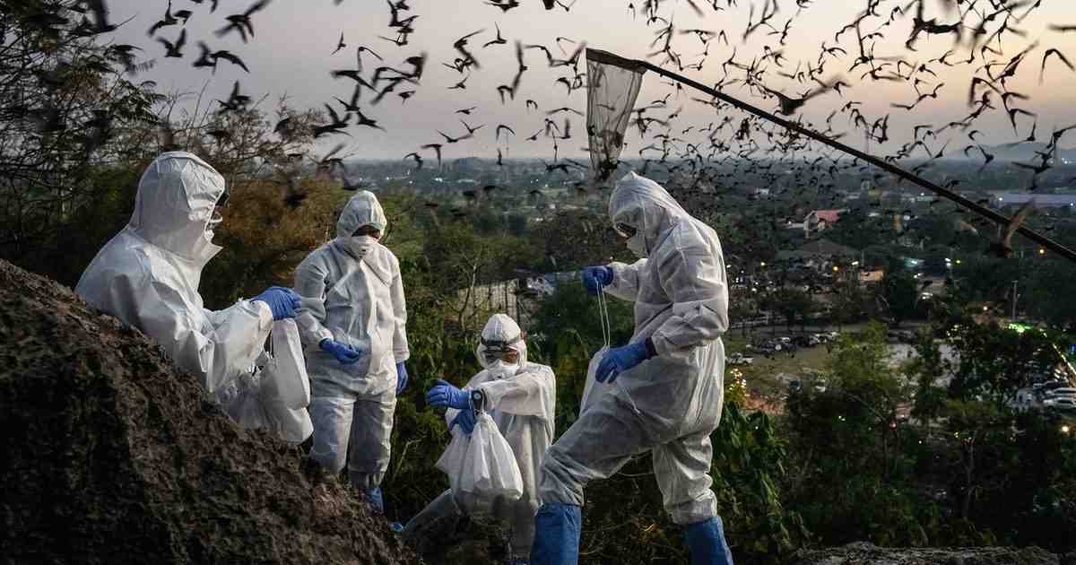 تؤدي ارتفاع درجات الحرارة وتغير أنماط هطول الأمطار والظروف الجوية القاسية إلى توسيع موائل ناقلات الأمراض.