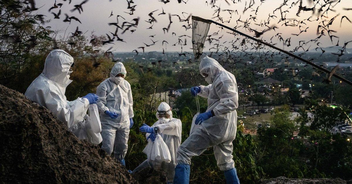 Rising temperatures, shifting rainfall patterns, and extreme weather are expanding habitats for disease vectors. Rising temperatures, shifting rainfall patterns, and extreme weather are expanding habitats for disease vectors.