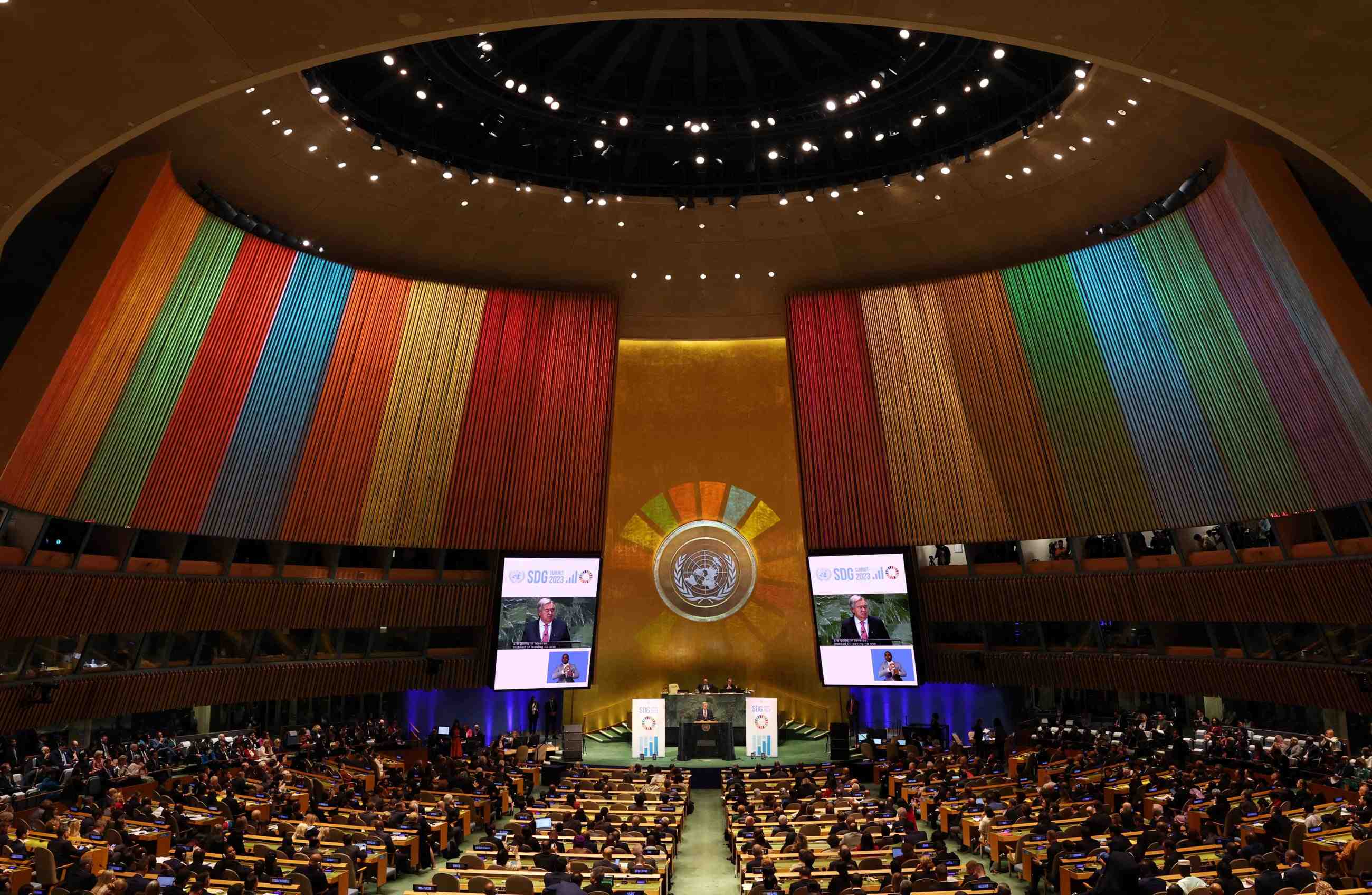 UNGA 81