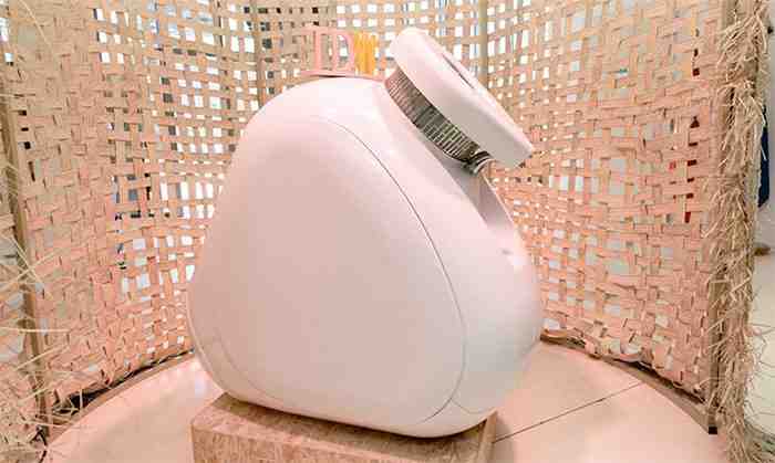 أخبار إنمائية