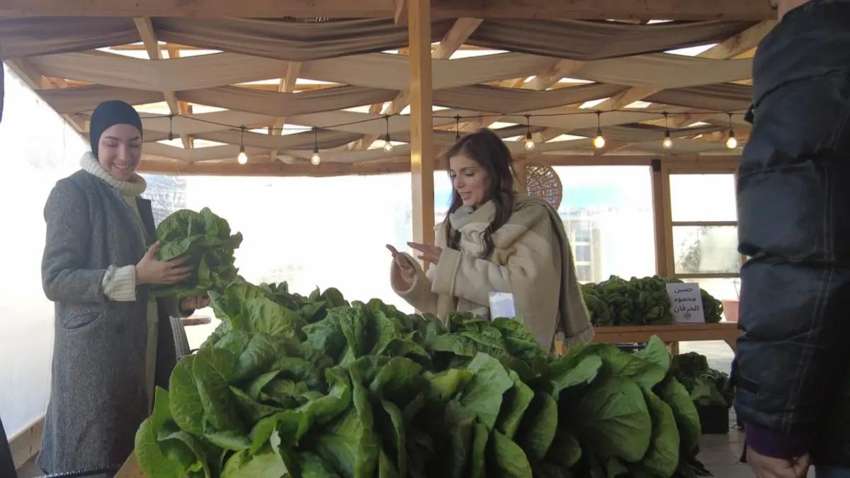 Two women shop for fresh lettuce in a cozy sunlit market Two women shop for fresh lettuce in a cozy sunlit market