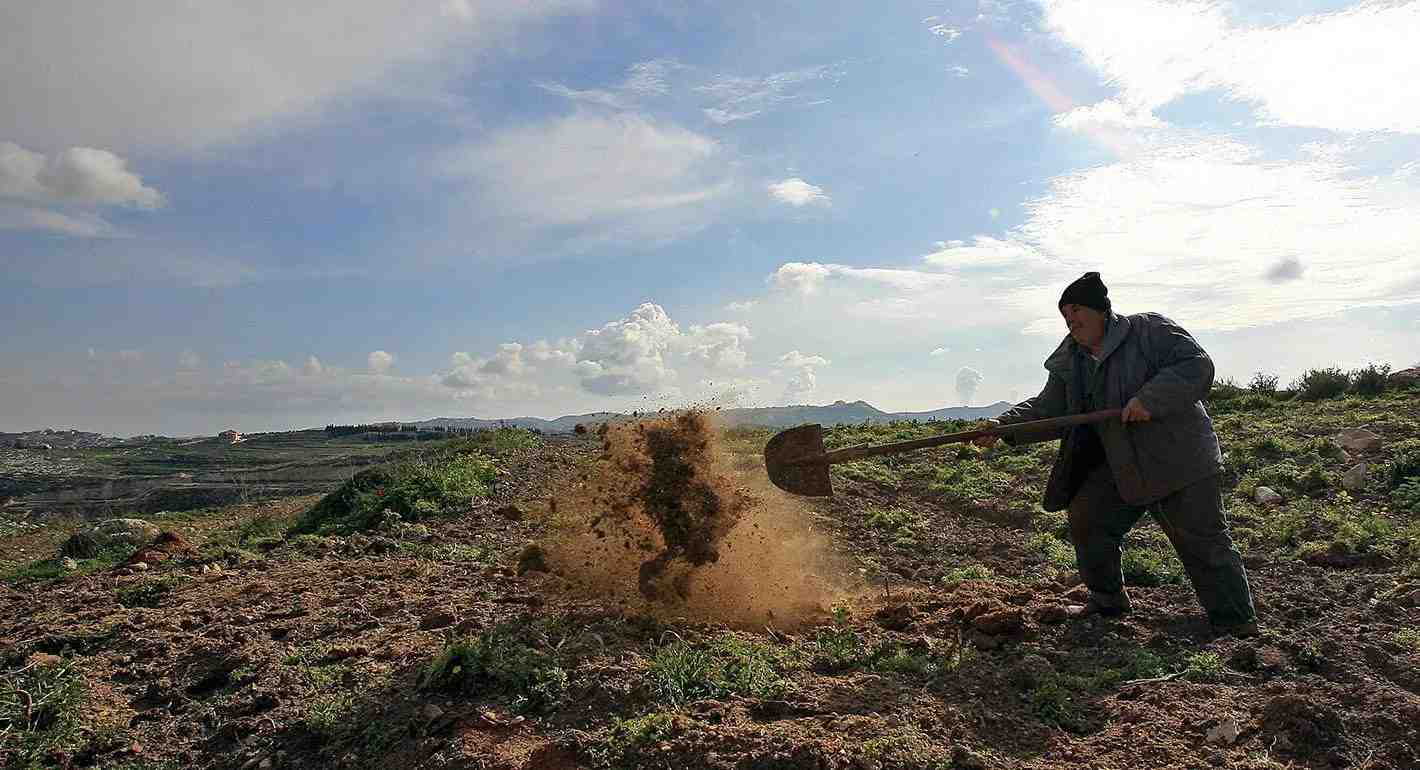 The 2026 war dealt a severe blow to Lebanon's agricultural sector. Source: Getty