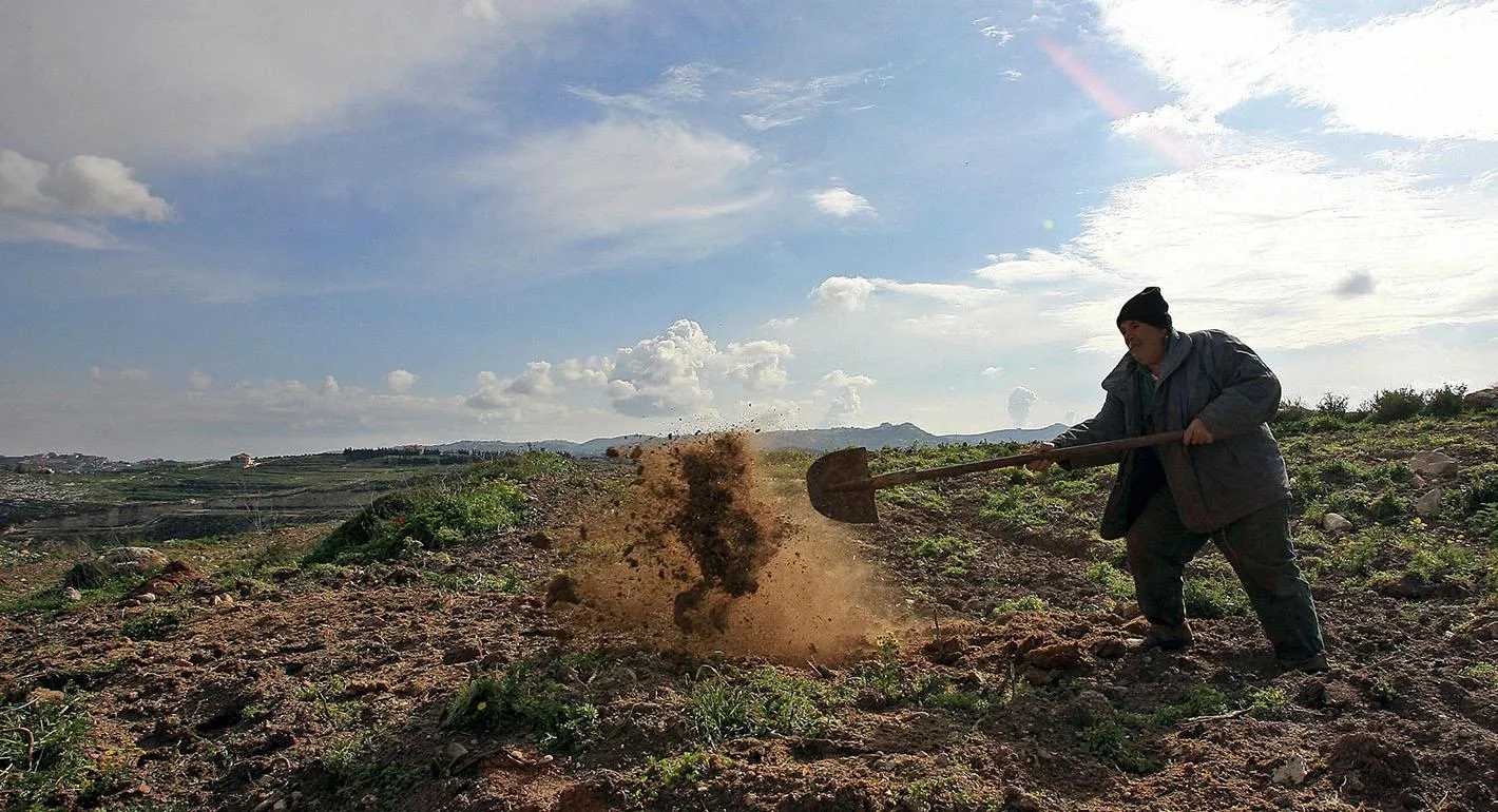 The 2026 war dealt a severe blow to Lebanon's agricultural sector. Source: Getty