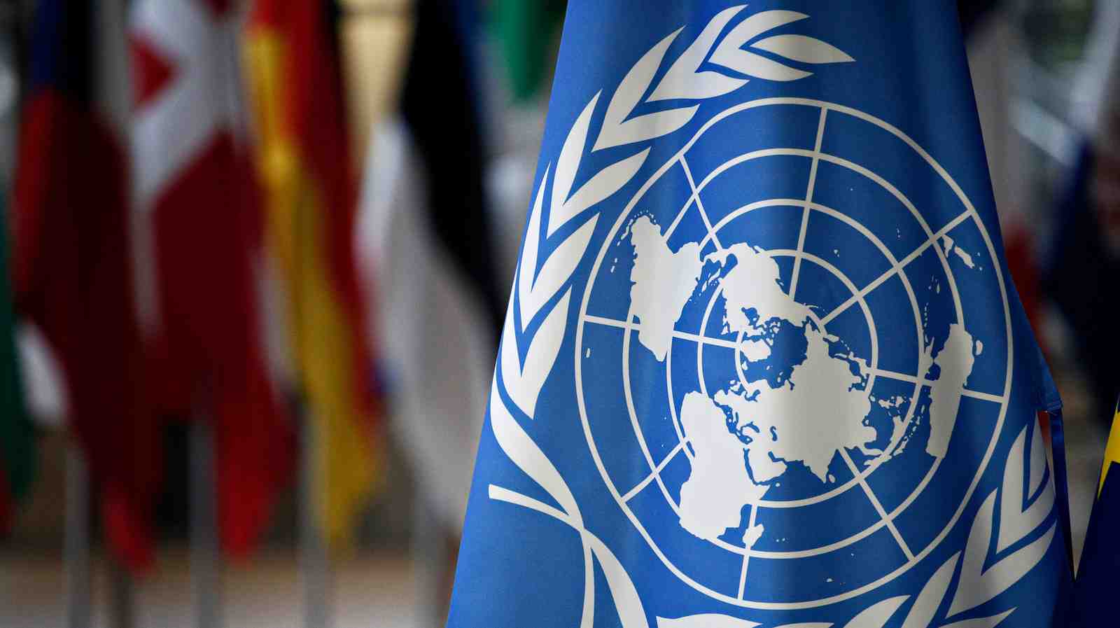 The United Nations Flag