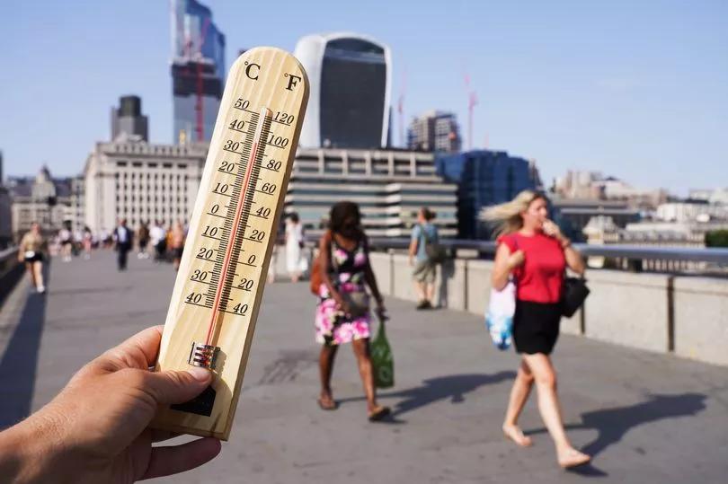 أخبار إنمائية أخبار إنمائية