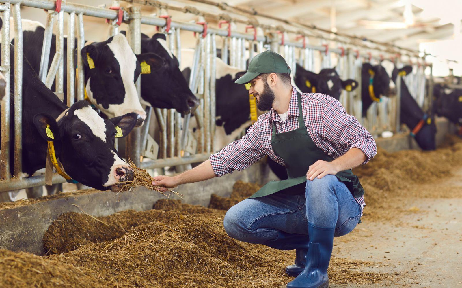 أخبار إنمائية أخبار إنمائية