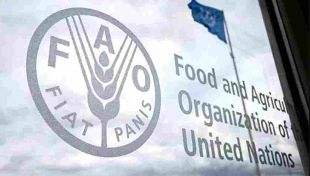 Food and Agriculture Organization of the United Nations (FAO)