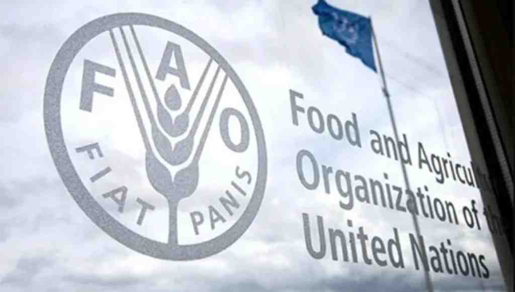 Food and Agriculture Organization of the United Nations (FAO)