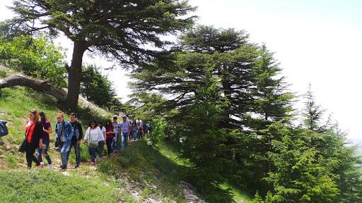 Enmaeya News Enmaeya News