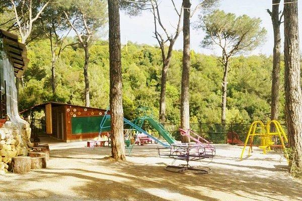 Enmaeya News Enmaeya News