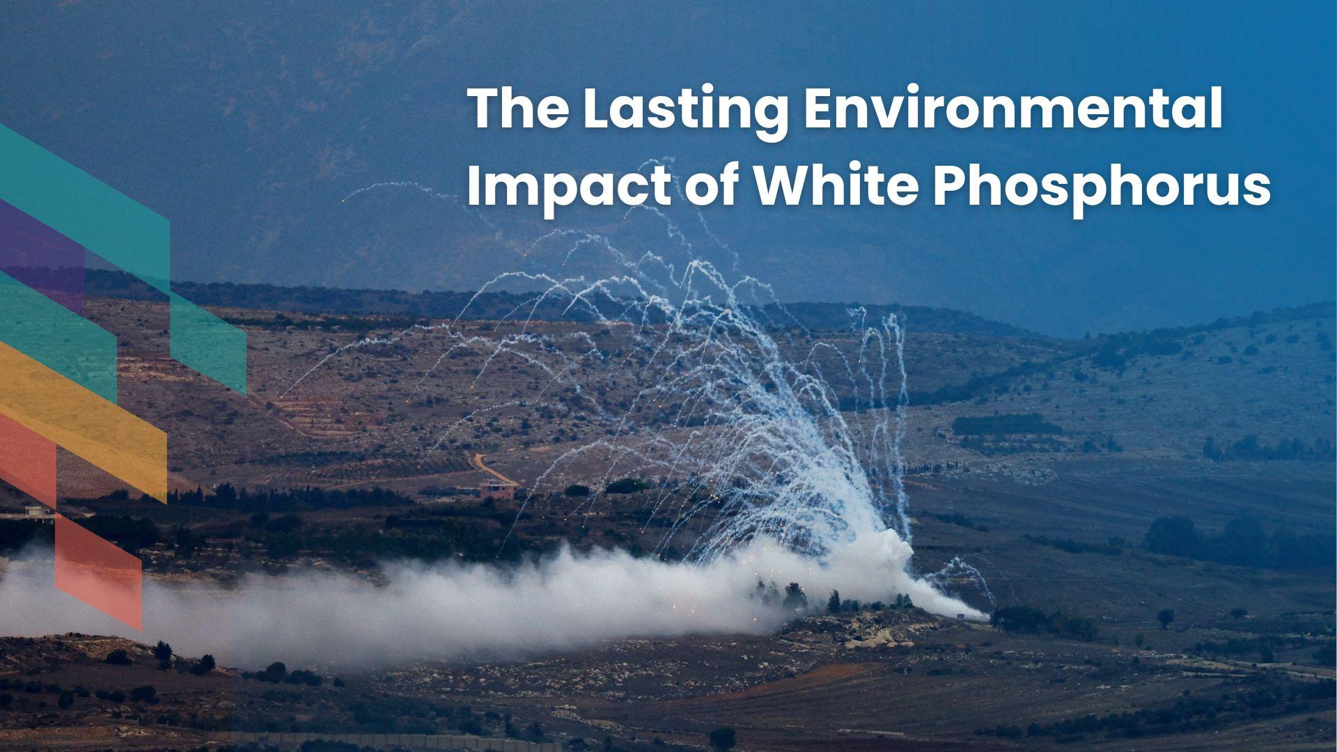 /studio/programs/69c13b1d6b5d92c96c2ac4f1