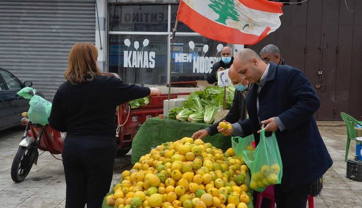 Lebanon Targets Saudi Agricultural Markets