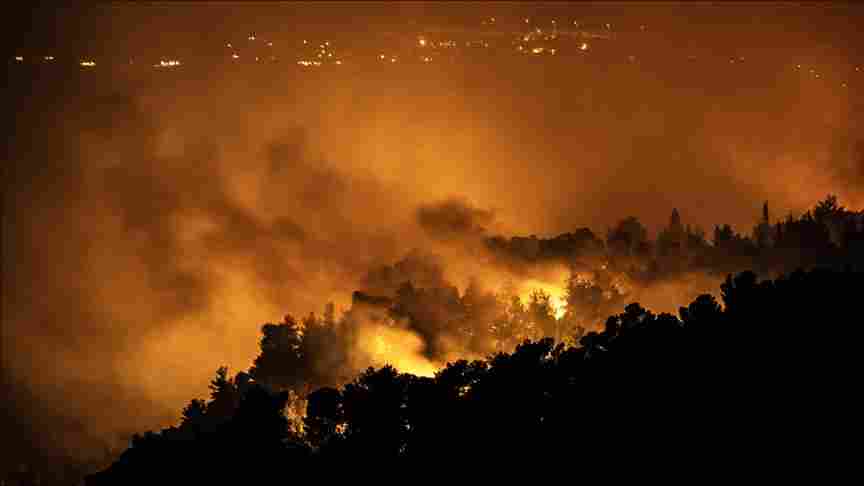 أخبار إنمائية