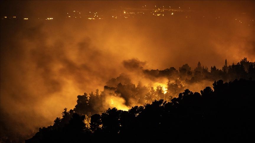 أخبار إنمائية أخبار إنمائية