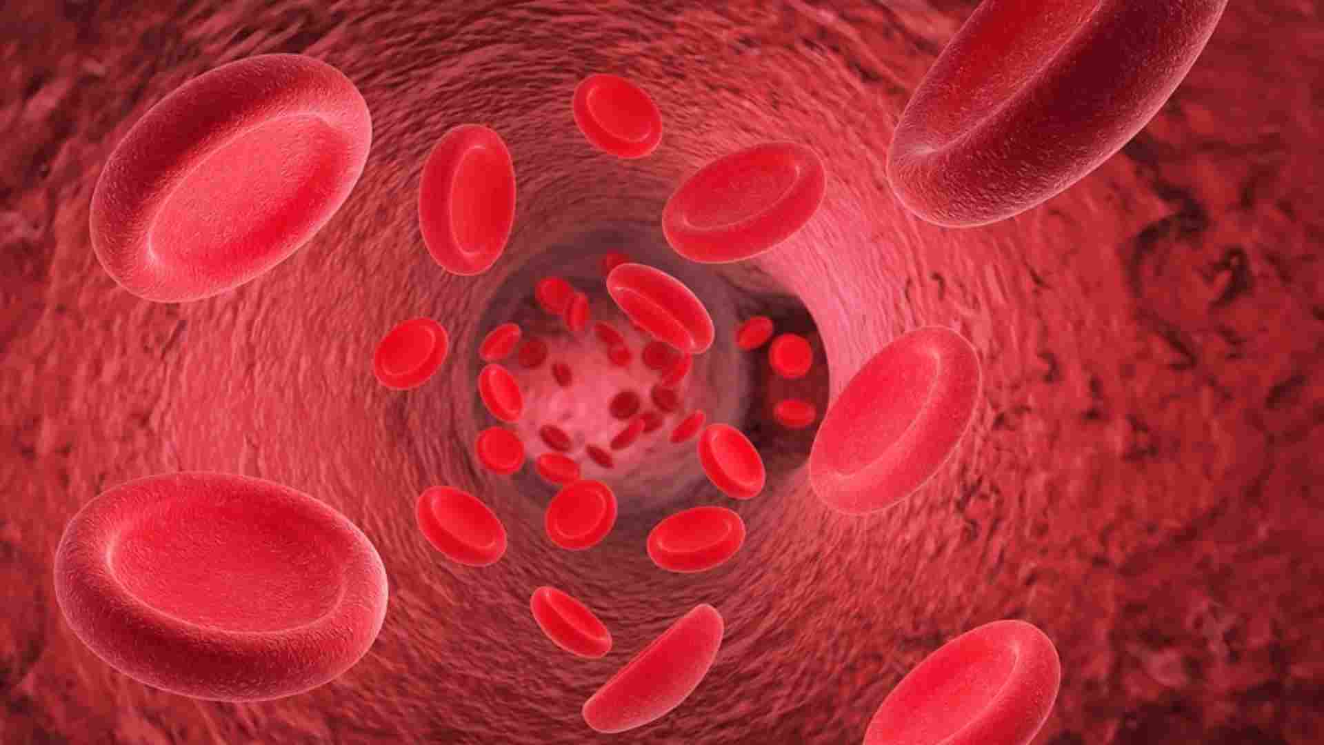 Scientists Reveal Hidden Danger of Iron Deficiency in the Body