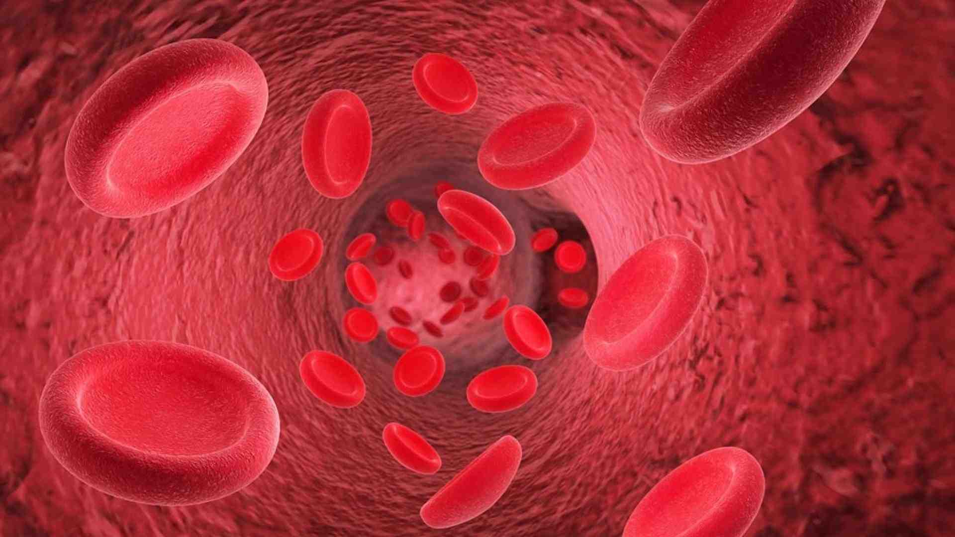 Scientists Reveal Hidden Danger of Iron Deficiency in the Body