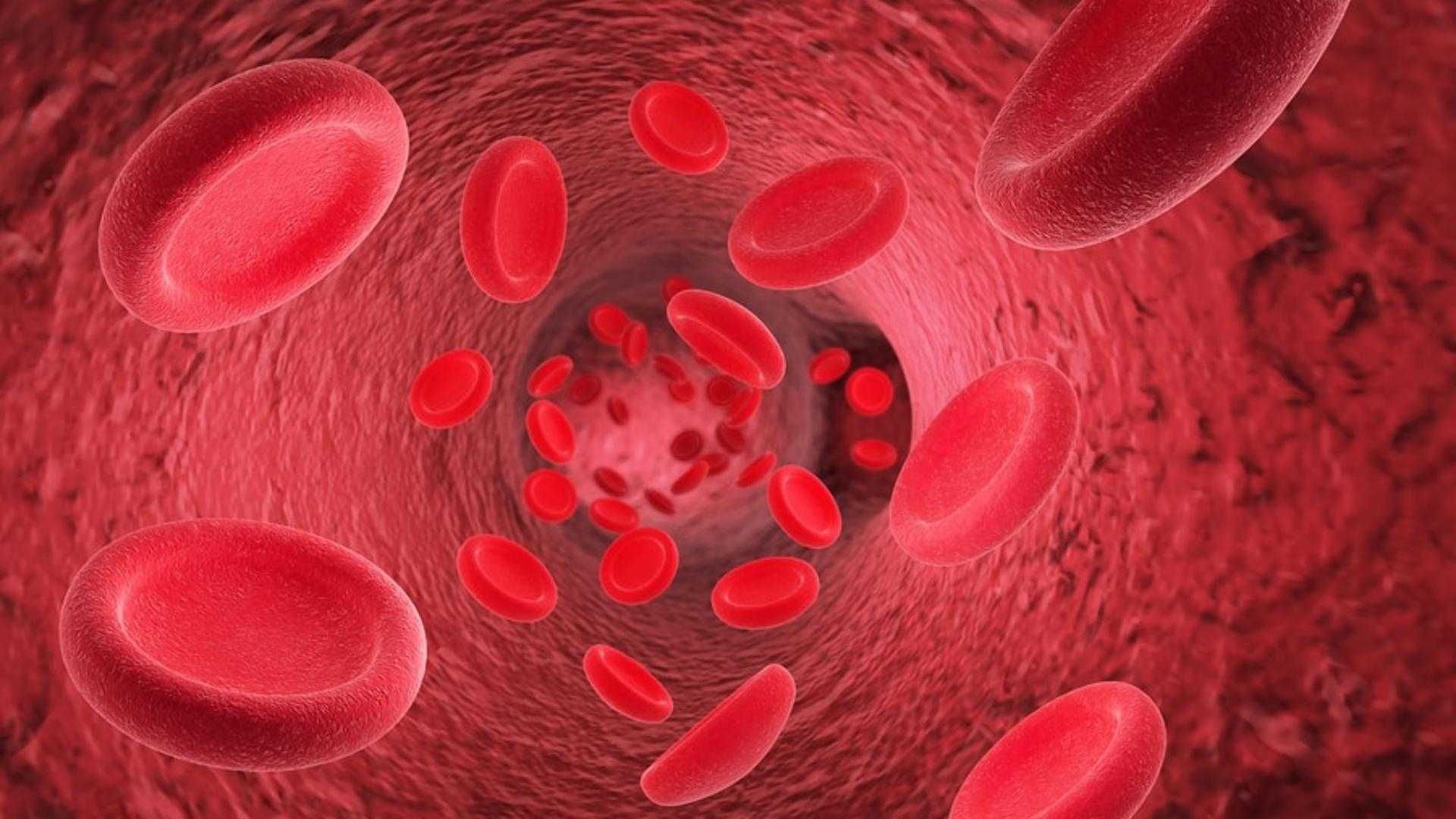 Scientists Reveal Hidden Danger of Iron Deficiency in the Body