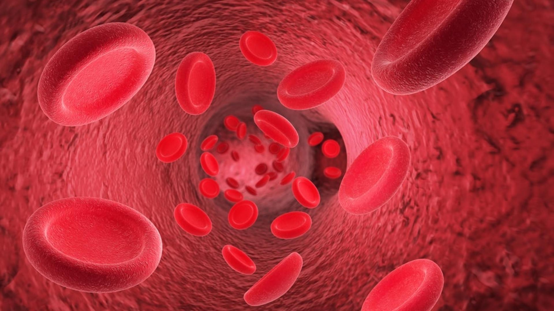 Scientists Reveal Hidden Danger of Iron Deficiency in the Body Scientists Reveal Hidden Danger of Iron Deficiency in the Body