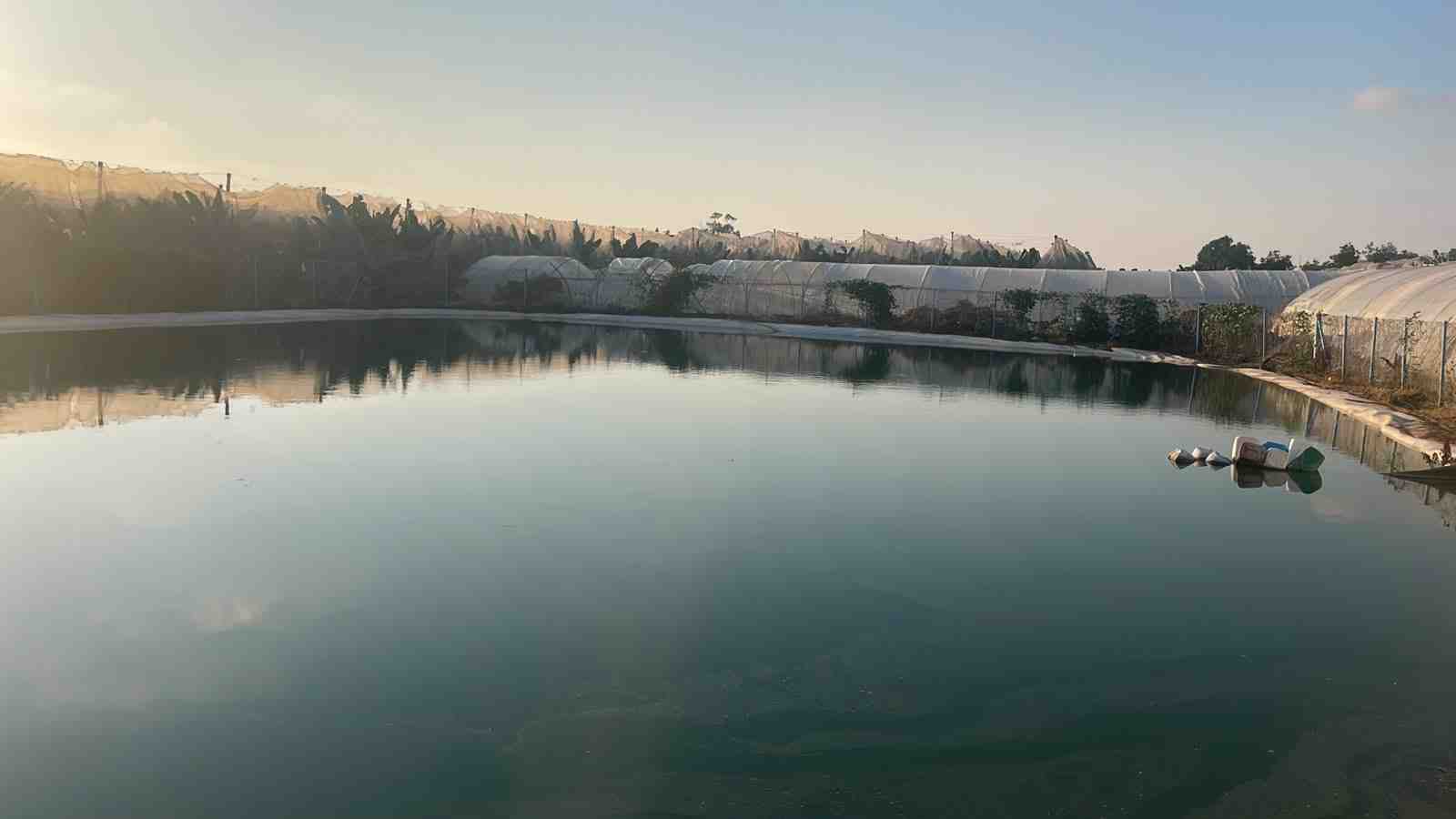 تنتشر البيوت البلاستيكية على ضفاف نهر الليطاني.