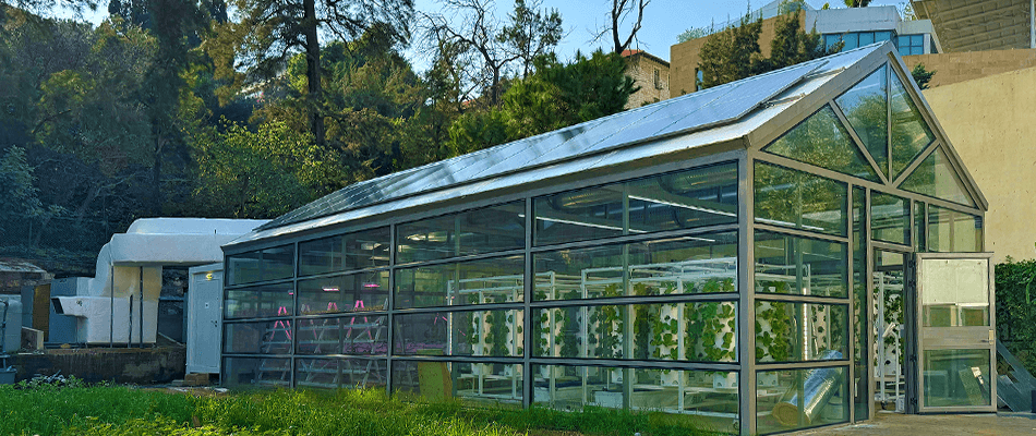 أخبار إنمائية أخبار إنمائية