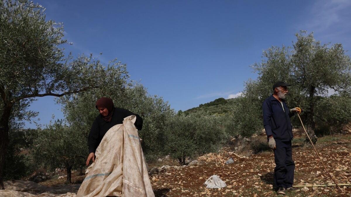 The project is expected to create around 6,000 temporary jobs and benefit approximately 4,000 farmers. The project is expected to create around 6,000 temporary jobs and benefit approximately 4,000 farmers.