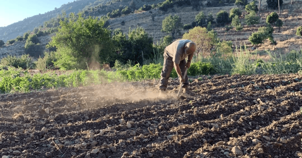 Enmaeya News Enmaeya News