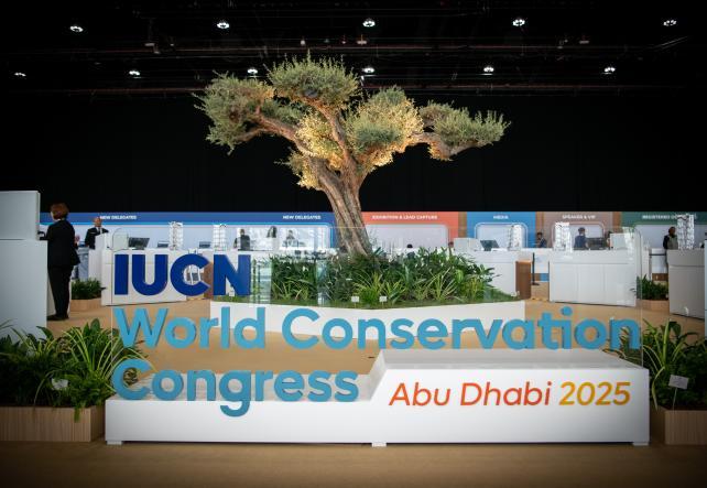 اعتمد المؤتمر العالمي للحفاظ على الطبيعة, المنعقد في أبوظبي، رسميًا المقترح اللبناني رقم 148. اعتمد المؤتمر العالمي للحفاظ على الطبيعة, المنعقد في أبوظبي، رسميًا المقترح اللبناني رقم 148.