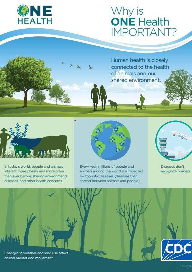 Why One Health Matters .jpg