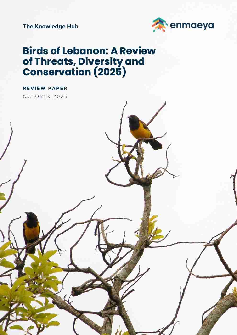 Birds of Lebanon: A Review of Threats, Diversity and Conservation (2025)