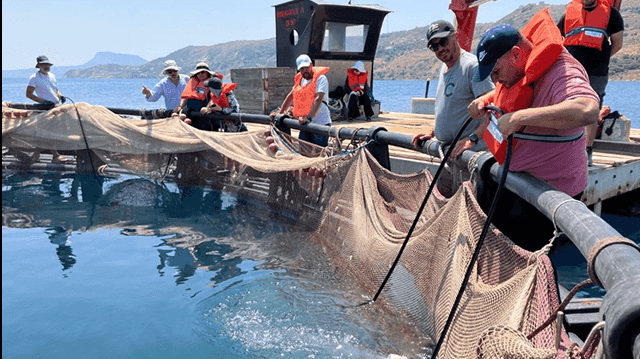 General Fisheries Commission for the Mediterranean/Georgios Paximadis