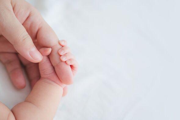 أخبار إنمائية أخبار إنمائية