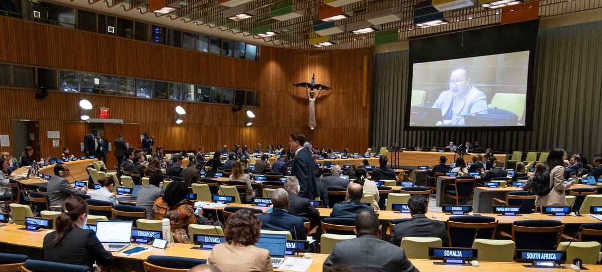 United Nations General Assembly (UNGA 81)