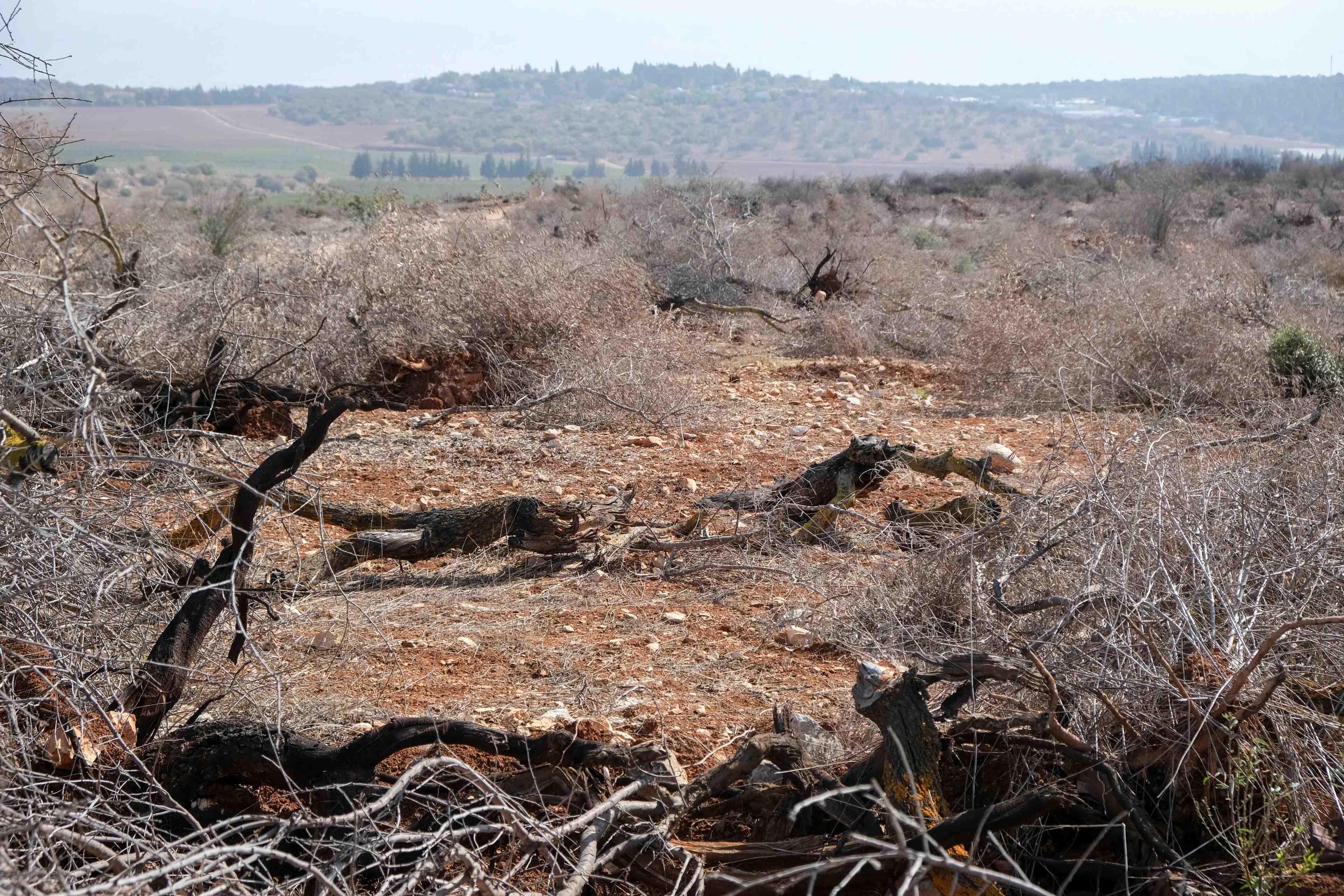 Damaged agricultural land in southern Lebanon reflects the heavy impact of recent conflict on farming areas and rural livelihoods.