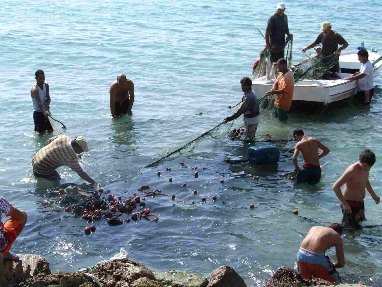 Group of fishermen in Lebanon. (Image Credit: Raseef 22)