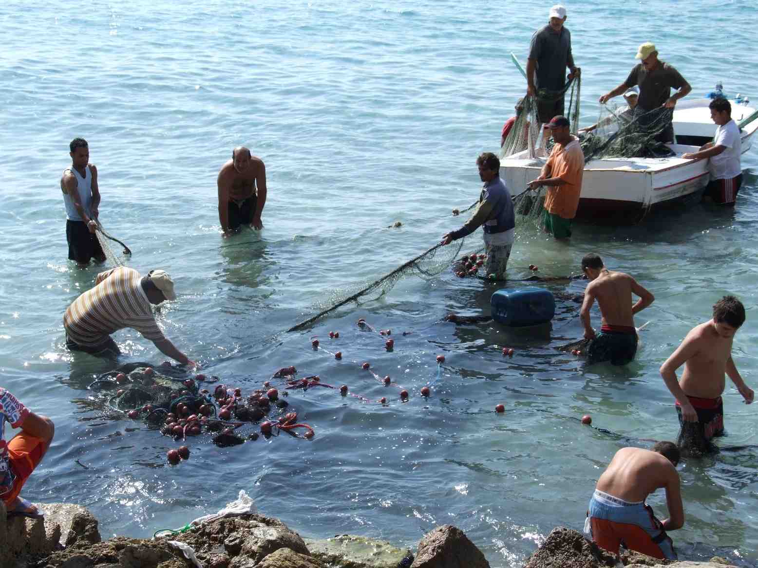 Group of fishermen in Lebanon. (Image Credit: Raseef 22)