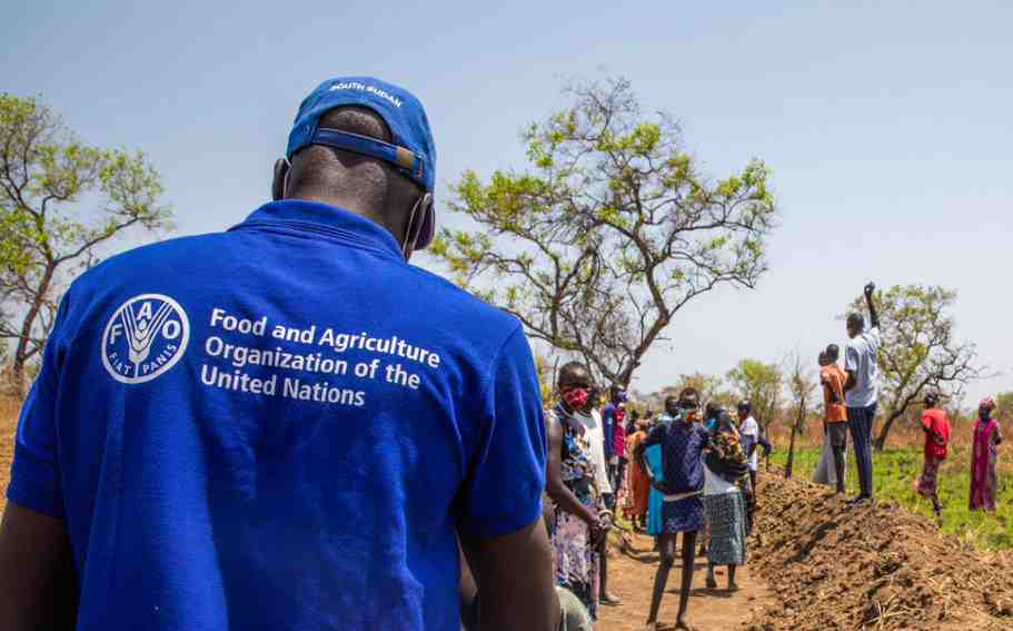 FAO added that it continues to promote inclusive and sustainable agri-food systems in Lebanon.