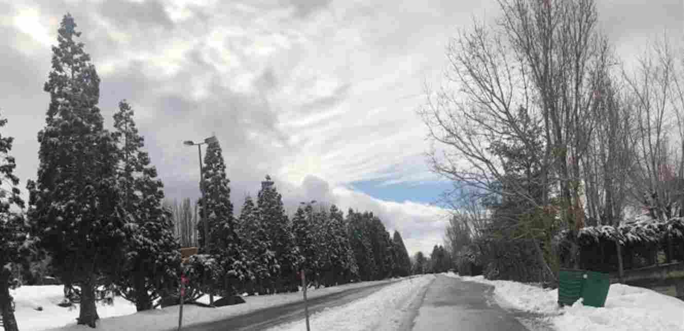 Quiet roads and snow-covered trees
