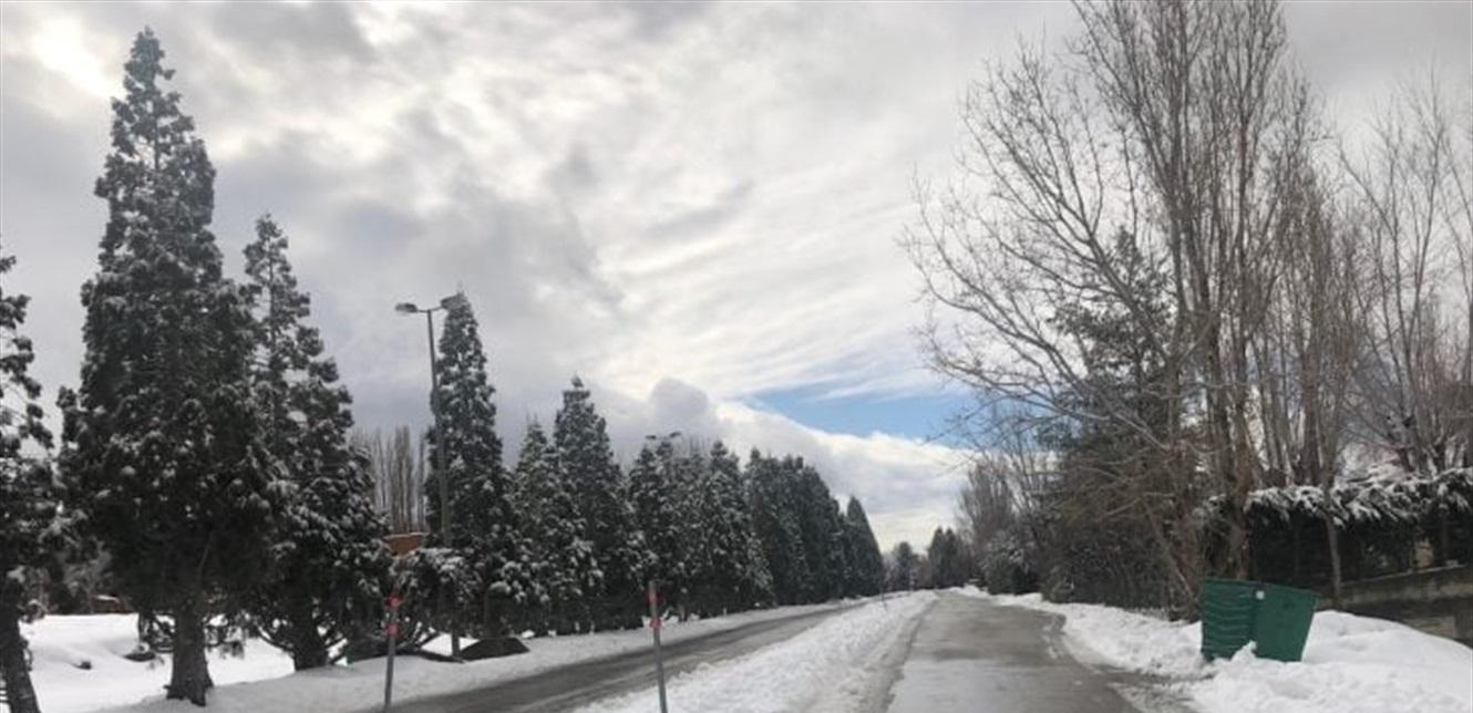 Quiet roads and snow-covered trees Quiet roads and snow-covered trees