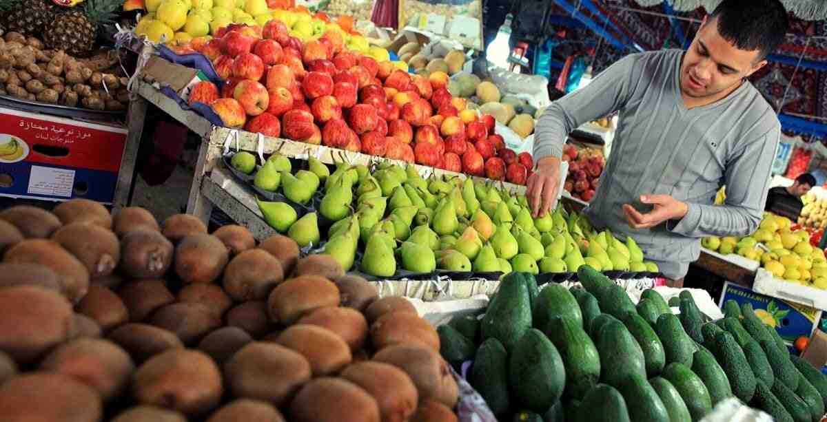 Domestic agricultural production is increasing, particularly greenhouse crops, helping ease supply pressure.