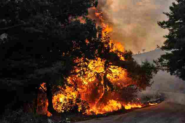 أخبار إنمائية