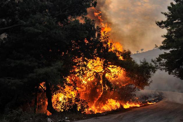 Enmaeya News Enmaeya News